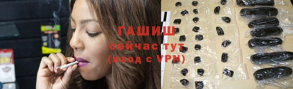 индика Медногорск