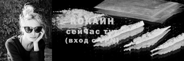 индика Медногорск