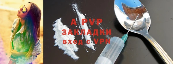 индика Медногорск