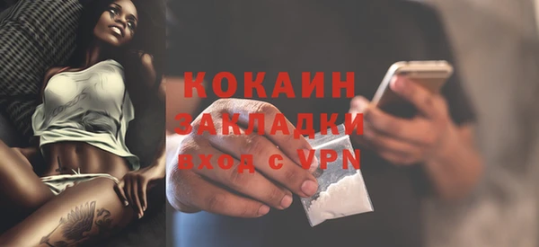 индика Медногорск