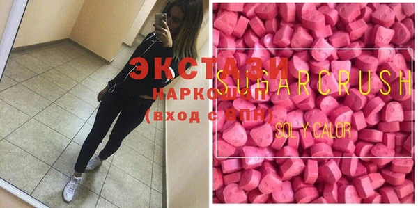 индика Медногорск