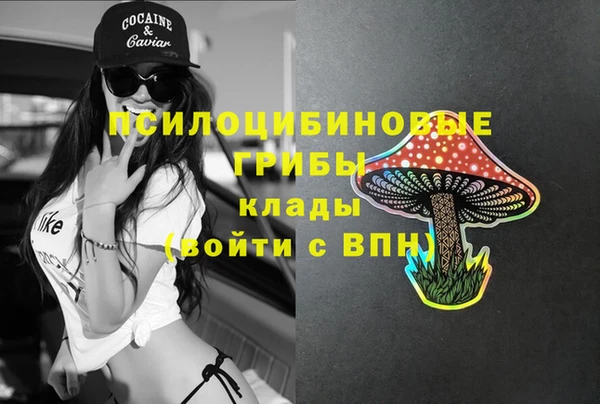 индика Медногорск