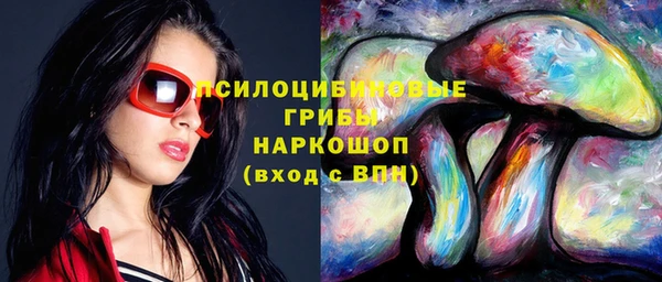 индика Медногорск