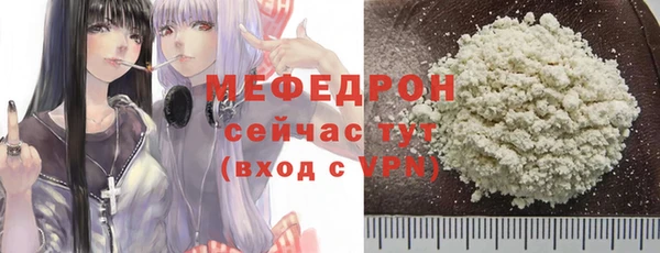 индика Медногорск