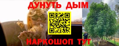 бошки Бийск