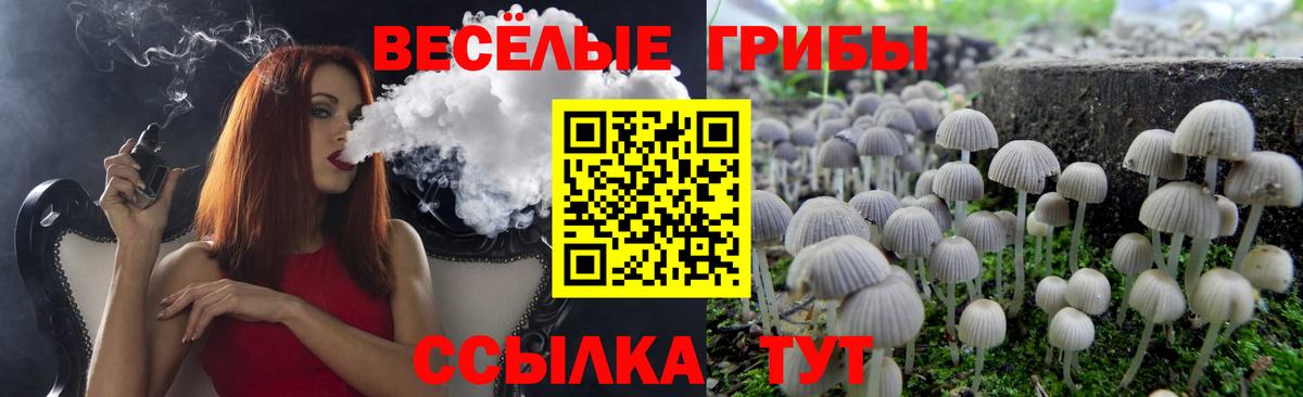 Псилоцибиновые грибы ЛСД  Галлюциногенные грибы MAGIC MUSHROOMS  Елец 