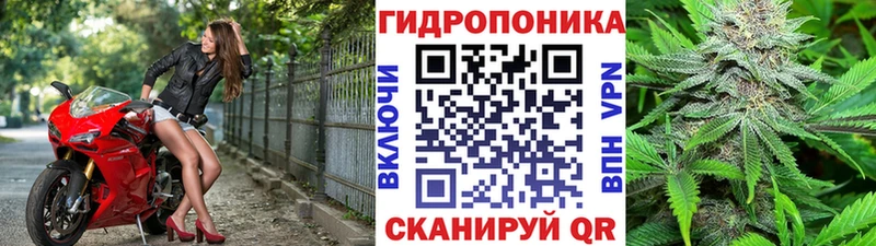 Марихуана THC 21% Елец